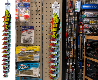 Peacock Bass 8" Two-Sided Fish Stickers – 10 Pack product image