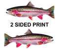 Rainbow Trout 8" Two-Sided Fish Stickers – 10 Pack product image