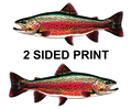 Brook Trout 8" Two-Sided Fish Stickers – 10 Pack product image