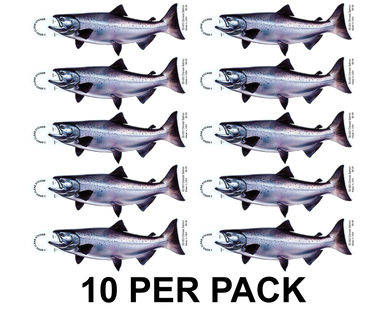 Chinook Salmon 8" Two-Sided Fish Stickers – 10 Pack product image