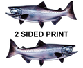 Chinook Salmon 8" Two-Sided Fish Stickers – 10 Pack product image