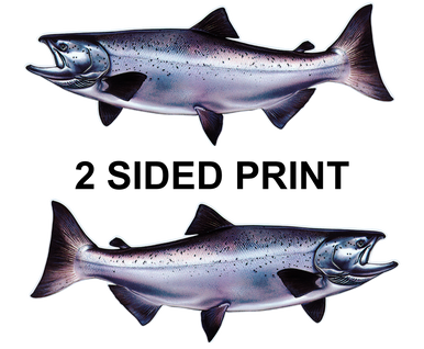 Chinook Salmon 8" Two-Sided Fish Stickers – 10 Pack product image