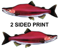 Sockeye Salmon 8" Two-Sided Fish Stickers – 10 Pack product image