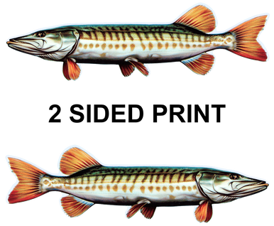 Muskie 8" Two-Sided Fish Stickers – 10 Pack product image