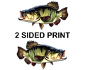 Smallmouth Bass Design 2 8" Two-Sided Fish Stickers – 10 Pack product image