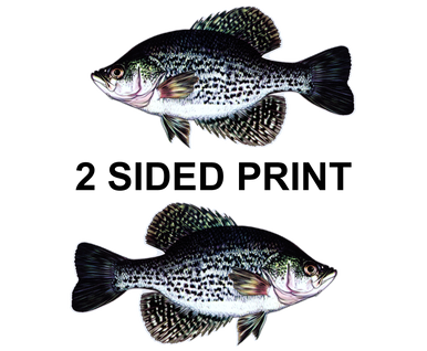 Crappie 8" Two-Sided Fish Stickers – 10 Pack product image