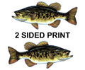Smallmouth Bass Design 1 8" Two-Sided Fish Stickers – 10 Pack product image