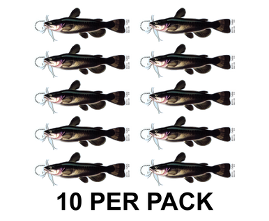 Catfish 8" Two-Sided Fish Stickers – 10 Pack product image
