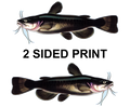 Catfish 8" Two-Sided Fish Stickers – 10 Pack product image
