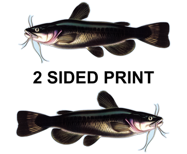 Catfish 8" Two-Sided Fish Stickers – 10 Pack product image