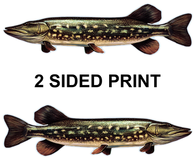 Northern Pike 8" Two-Sided Fish Stickers – 10 Pack product image