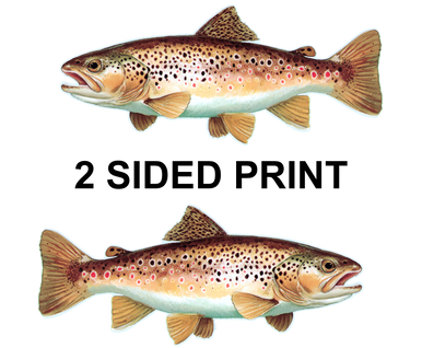 Brown Trout 8" Two-Sided Fish Stickers – 10 Pack product image