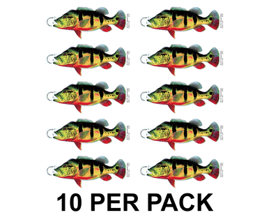 Peacock Bass 8" Two-Sided Fish Stickers – 10 Pack product image