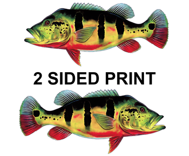 Peacock Bass 8" Two-Sided Fish Stickers – 10 Pack product image