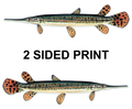 Spotted Gar 8" Two-Sided Fish Stickers – 10 Pack product image