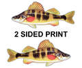 Yellow Perch 8" Two-Sided Fish Stickers – 10 Pack product image
