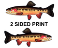 Golden Trout 8" Two-Sided Fish Stickers – 10 Pack product image