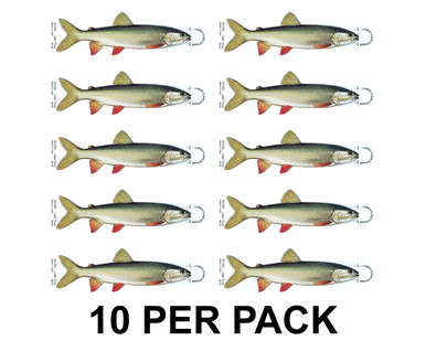 Lake Trout / Mackinaw 8" Two-Sided Fish Stickers – 10 Pack product image