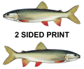 Lake Trout / Mackinaw 8" Two-Sided Fish Stickers – 10 Pack product image