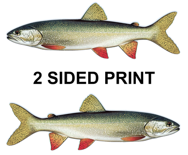 Lake Trout / Mackinaw 8" Two-Sided Fish Stickers – 10 Pack product image