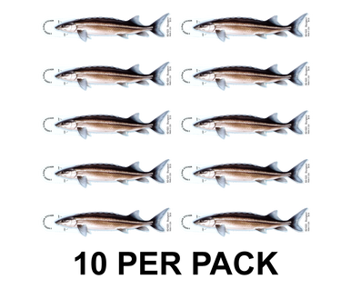 Sturgeon 8" Two-Sided Fish Stickers – 10 Pack product image