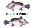Drum 8" Two-Sided Fish Stickers – 10 Pack product image