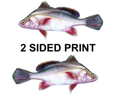 Drum 8" Two-Sided Fish Stickers – 10 Pack product image