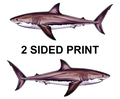 Great White Shark 8" Two-Sided Fish Stickers – 10 Pack product image
