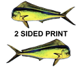 Dorado 8" Two-Sided Fish Stickers – 10 Pack product image