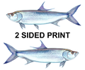 Tarpon 8" Two-Sided Fish Stickers – 10 Pack product image