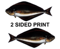 Halibut 8" Two-Sided Fish Stickers – 10 Pack product image