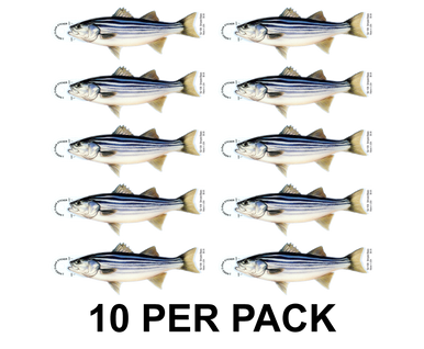Striped Bass 8" Two-Sided Fish Stickers – 10 Pack product image