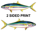 Yellowtail 8" Two-Sided Fish Stickers – 10 Pack product image