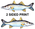 Snook 8" Two-Sided Fish Stickers – 10 Pack product image