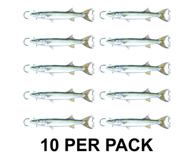 Barracuda 8" Two-Sided Fish Stickers – 10 Pack product image