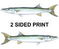 Barracuda 8" Two-Sided Fish Stickers – 10 Pack product image