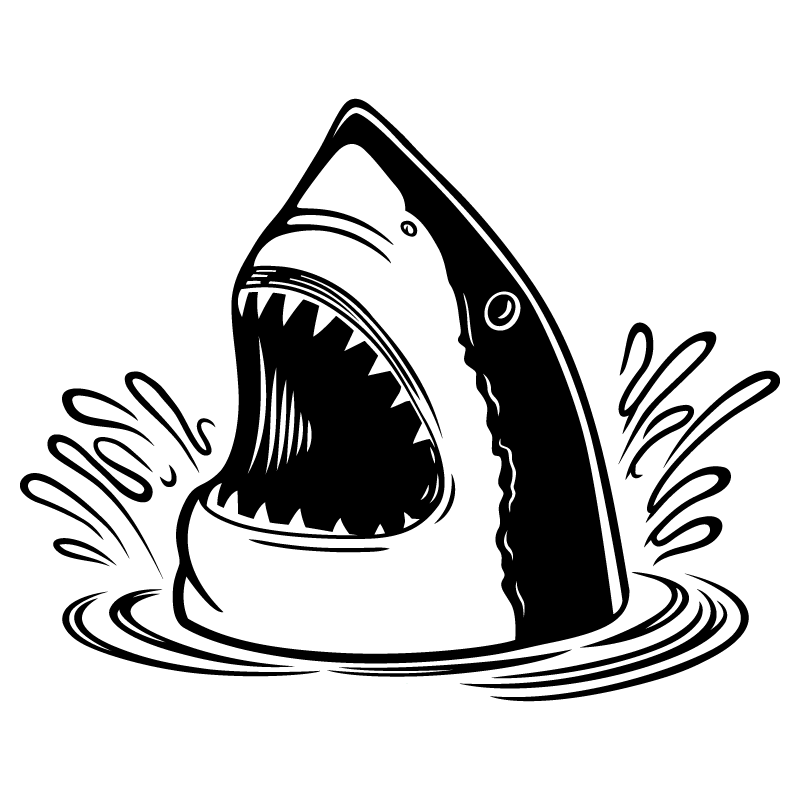 Shark Head Clear Sticker - 10 Pack