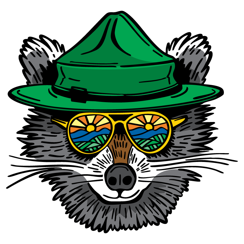 Raccoon Clear Sticker - 10 Pack