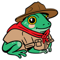 Camp Frog Clear Sticker - 10 Pack