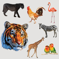 Animal Sticker Display product image