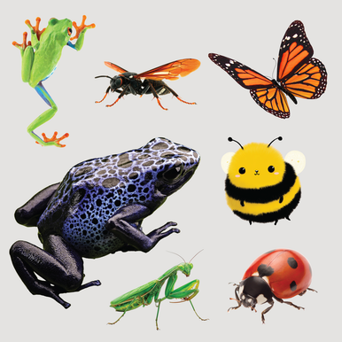 Reptile & Insect Sticker Display product image