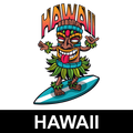 Hawaii Countertop Box Set product image