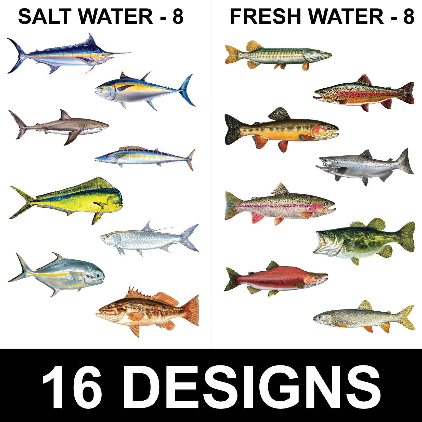 Sport Fish Sticker Display